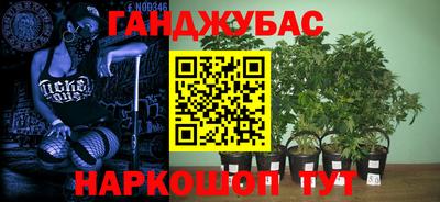 гидра Можга
