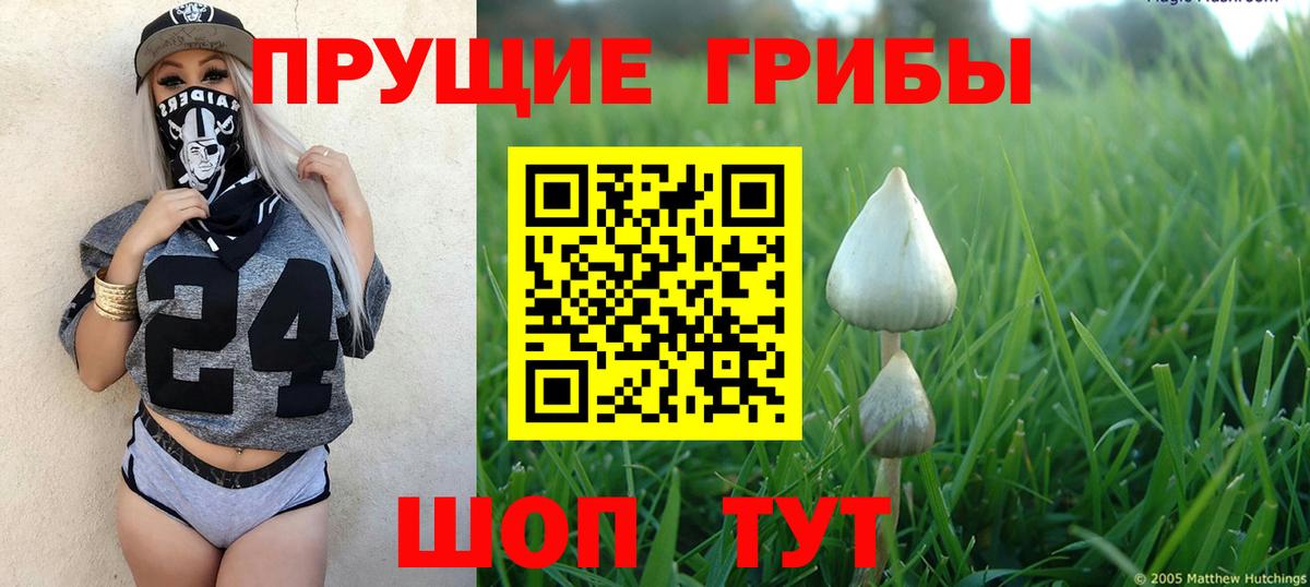 Уссурийск  Псилоцибиновые грибы Psilocybine cubensis  Вход с VPN 
