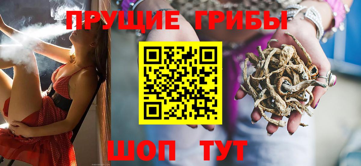 Псилоцибиновые грибы Psilocybine cubensis Уссурийск